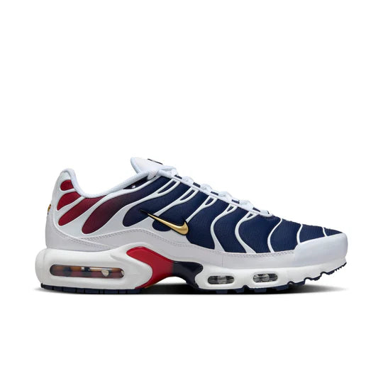 Nike Air Max Plus 'PSG'