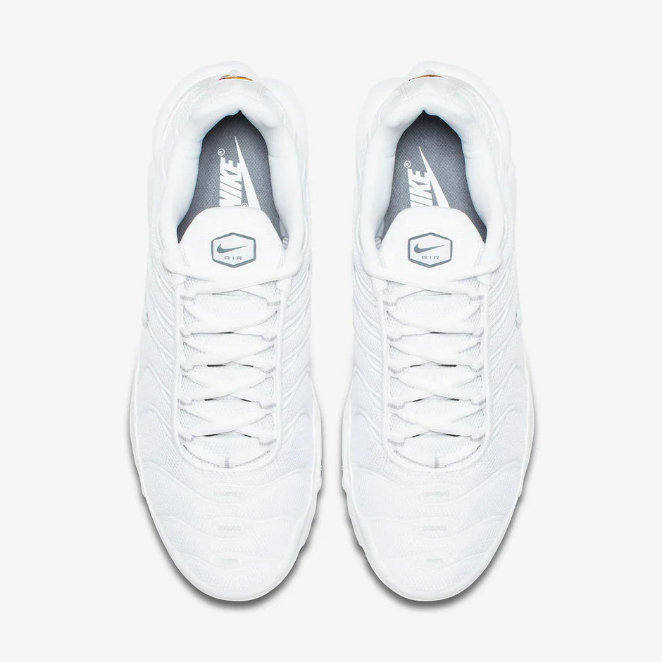 NIKE AIR MAX PLUS BLANC