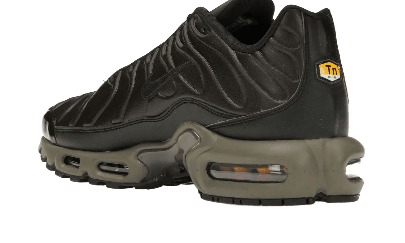 Air Max Plus Premium Paris