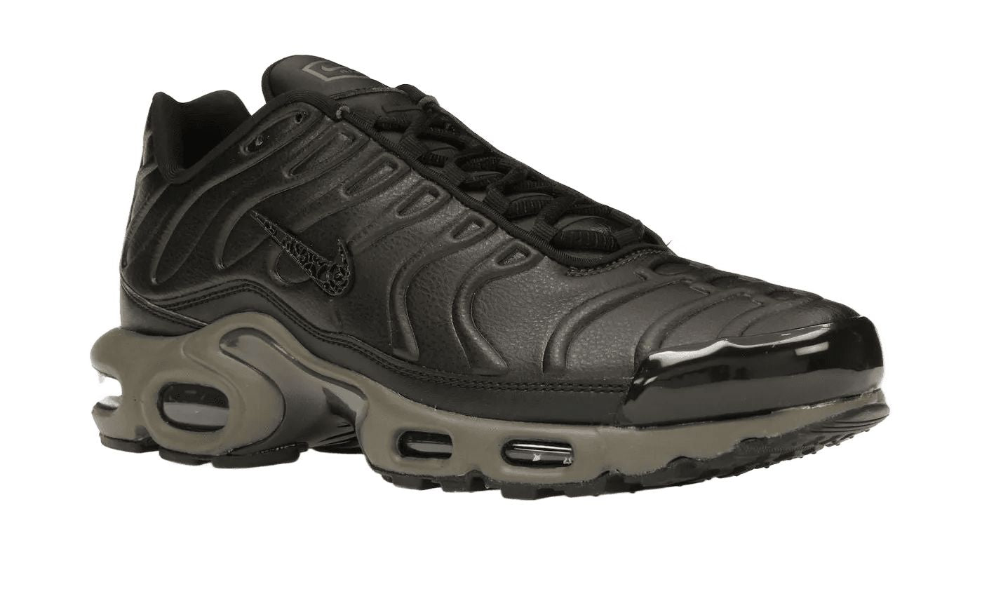 Air Max Plus Premium Paris