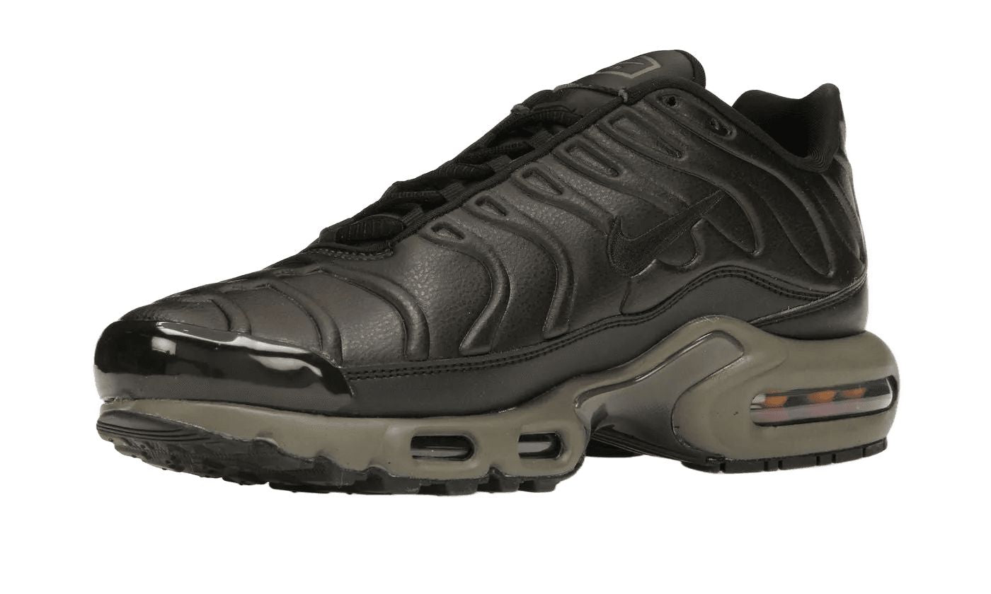 Air Max Plus Premium Paris