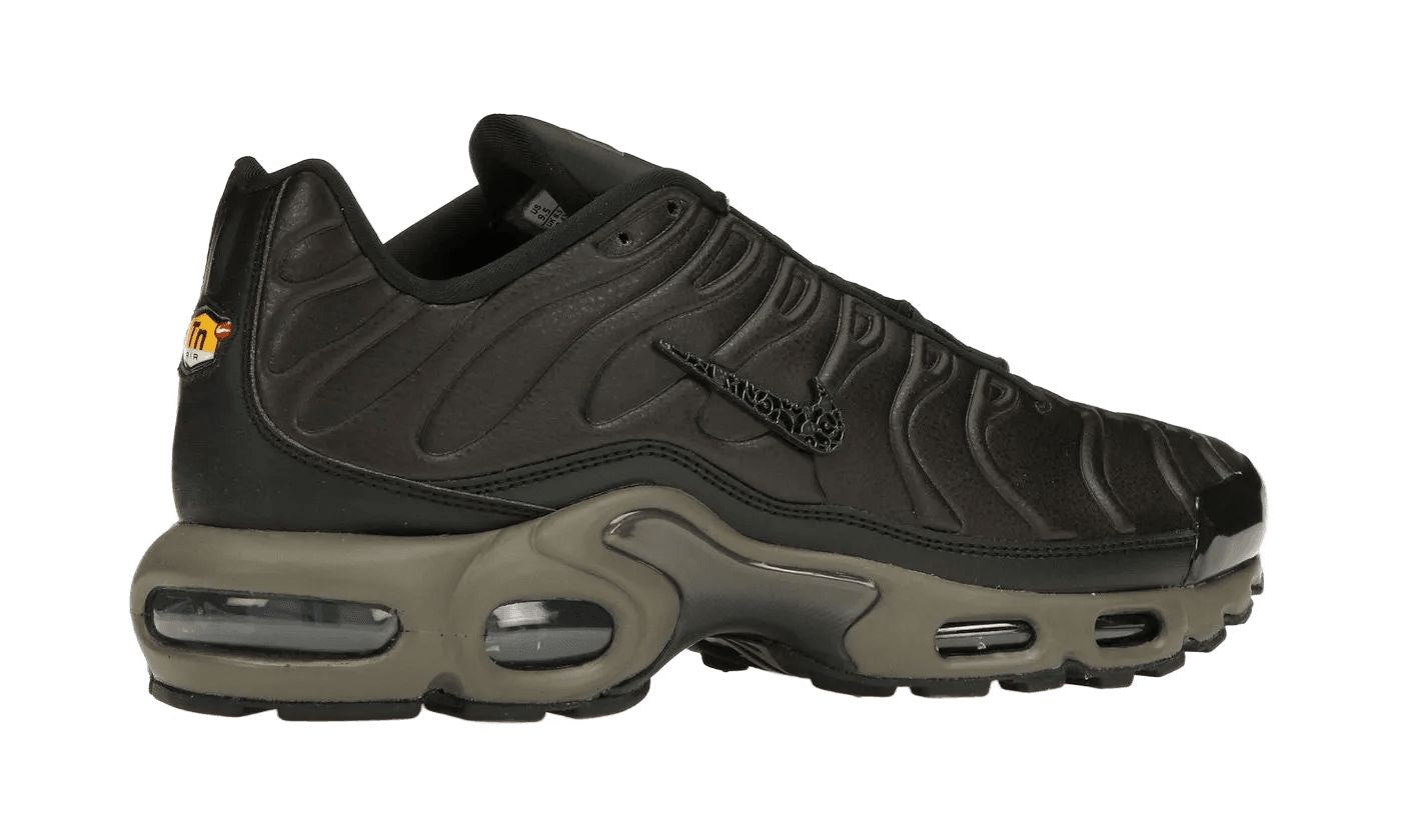 Air Max Plus Premium Paris