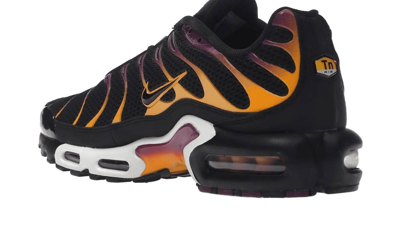 Air Max Plus University Gold Viotech Purple