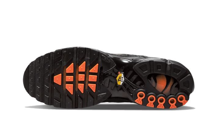 Nike Air Max Plus 3D Swoosh Black