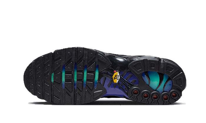 Nike Air Max Plus Black Blue Red