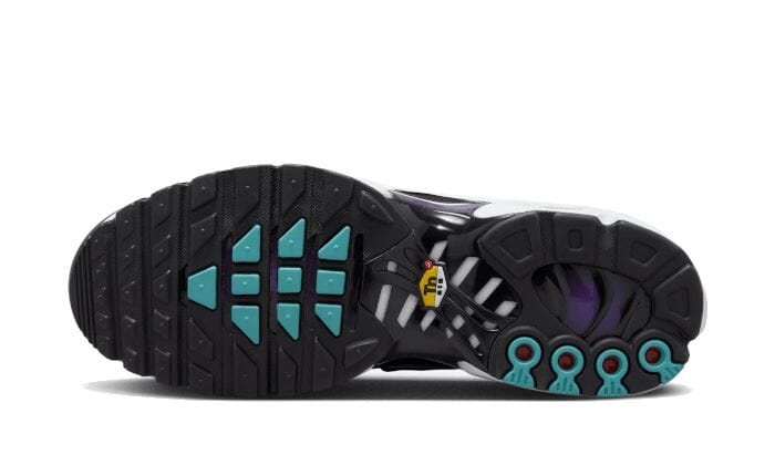 Nike Air Max Plus Reverse Grape