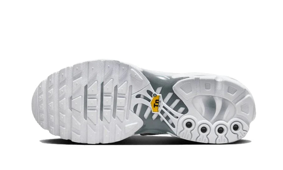 Nike TN Air Max Plus White Metallic Silver