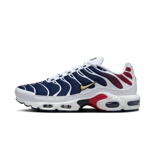 Nike Air Max Plus 'PSG'