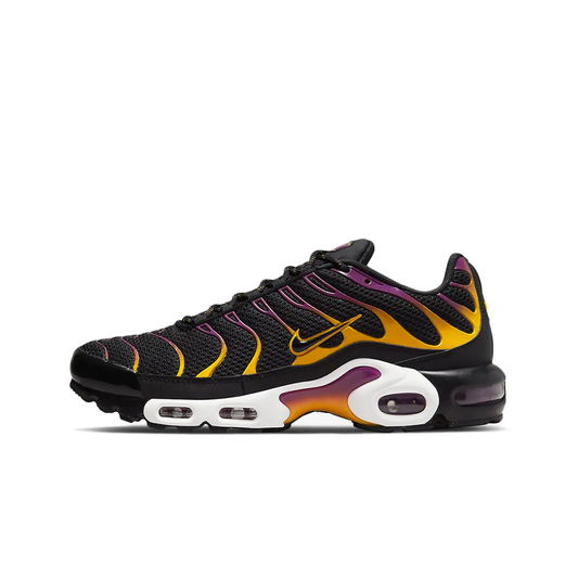 Air Max Plus University Gold Viotech Purple