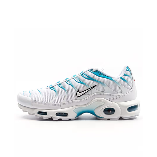 Nike TN Air Max Plus Blue White