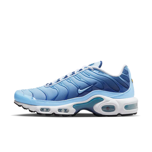 Nike TN Air Max Plus University Mavi 2025