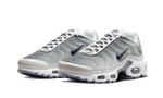 Nike Air Max Plus Sail Grey