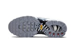 Nike Air Max Plus Sail Grey